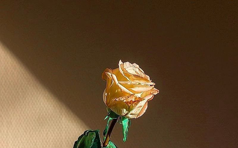 casino depósito mínimo 10€ – Cinco criterios antes de registrarte